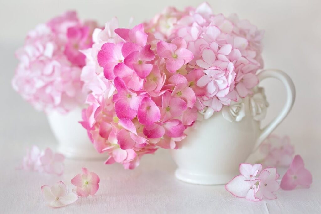 Unique Bouquets and Flowers