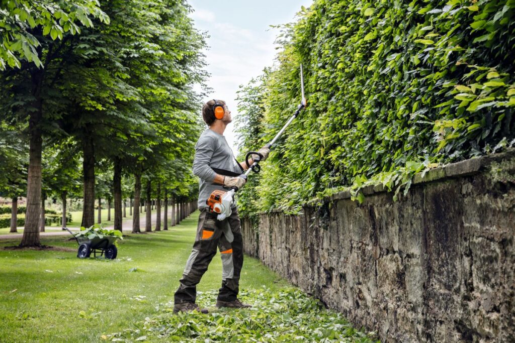 hedge trimming service
