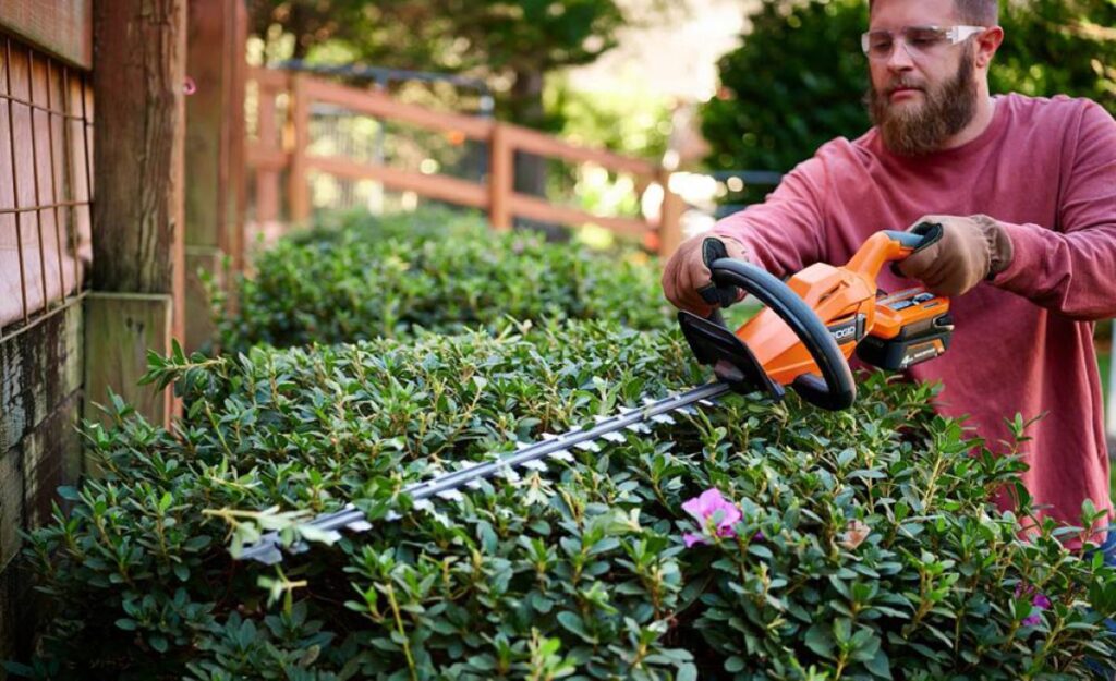 hedge trimming service