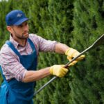 hedge trimming service