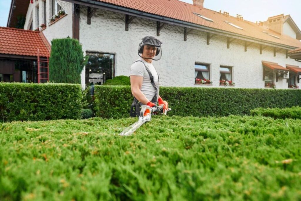 hedge maintenance