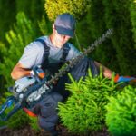 residential hedge trimming