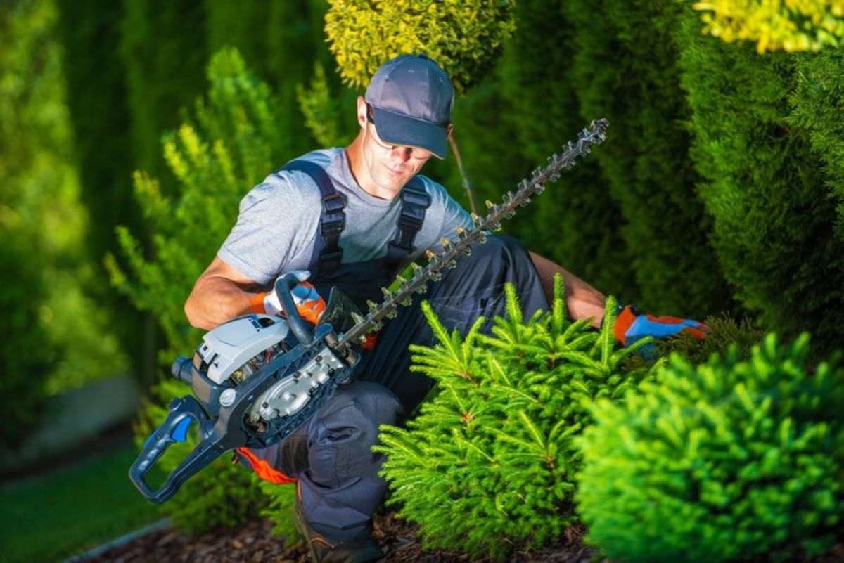 residential hedge trimming
