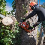 tree loppers near me