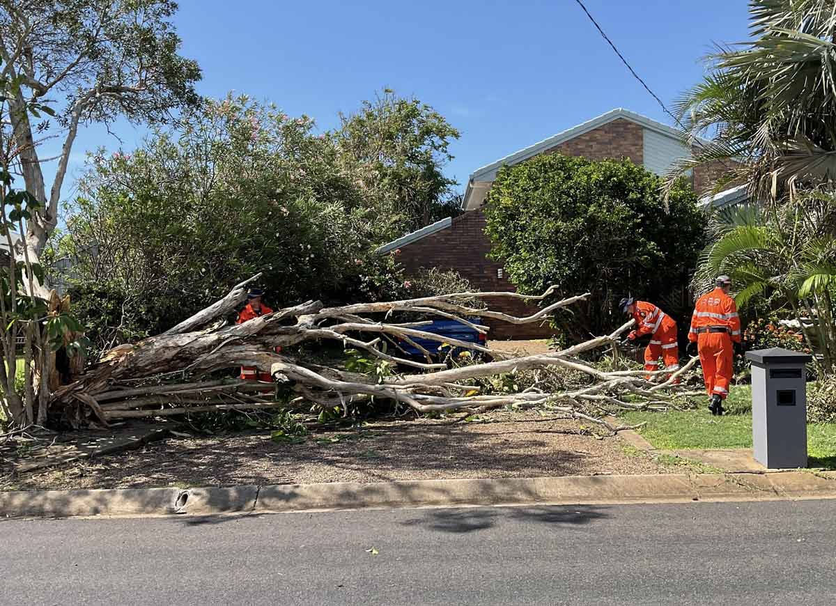 Storm Tree Removal